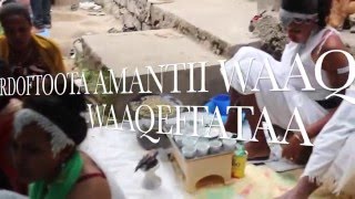 AMANTII WAAQEFFNNAA GALMAA MAGALAA ADAMAA [upl. by Nosmirc]