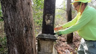 SUCESSFUL DOCTORS WIFES GRAVE FOUND IN THE WOODS AND HIS ABANDONED HOME  DR WILLIFORD [upl. by Aratas627]