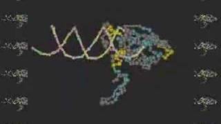 Leucine Zipper FOS and AP1 Bound to DNA [upl. by Hankins]