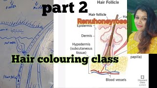 Hair colouring Part 2Hair structure what is hair pigments renuhoneyrose [upl. by Yanehc]