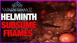 SUBSUME amp SECRETIONS  Helminth Guide [upl. by Elay]