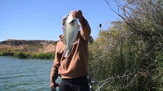 Fishing a green lake for green bass [upl. by Ynnej]