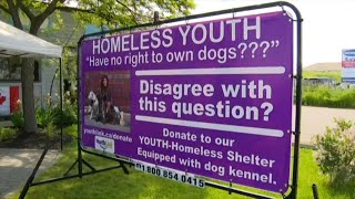 New homeless youth shelter equipped with dog kennels opens in Scarborough [upl. by Neerehs]