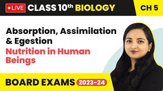 Absorption Assimilation amp Egestion  Nutrition in Human Beings  Class 10 Biology Chapter 5 LIVE [upl. by Ellainad]