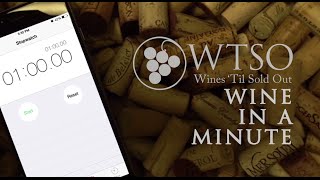 WTSO Wine in a Minute Domaine du Grand Montmirail Gigondas Vieilles Vignes 2013 [upl. by Rue421]