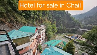 Hotel for sale in sadhupul chail resort for sale in chail luxury property sale himachal pradesh [upl. by Leahkim672]