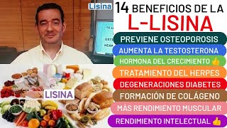 14 beneficios de la💪LISINA💪aumenta TESTOSTERONA❤️y HORMONA DEL CRECIMIENTO💪HERPES😮MÚSCULO💪 ALOPECIA💖 [upl. by Sparke26]