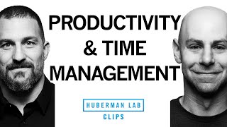 Tools for Better Productivity amp Time Management  Dr Adam Grant amp Dr Andrew Huberman [upl. by Anikehs147]