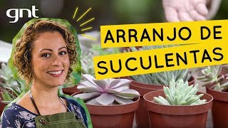 Aprenda a fazer arranjo de plantas com suculentas  Jardinagem  Carol Costa [upl. by Hebe176]