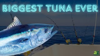 The Biggest Tuna Ever Caught 45Year Record [upl. by Sanders55]