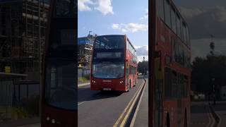 LK13BEU  TE1434 Seen Working London Bus Route W8 Towards Chase Farm Hospital londonbuses bus tfl [upl. by Pazit334]