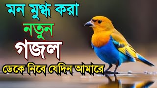 নতুনগজল2024 ডেকে নিবে যেদিন আমারে Deke Nibe Jedin Amare gajolনতুন গজলNatun Gajoldufmmadina [upl. by Kenn]