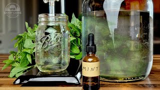 Making Essential Oils at Home with My DIY Distiller  Mint Oil amp Hydrosol [upl. by Asecnarf319]