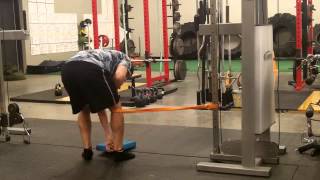 Patellar Tendon RecoveryAdductor Reverse Lunges [upl. by Adiesirb]