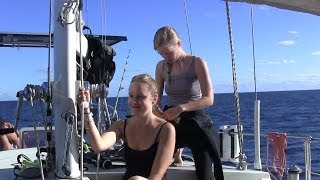 Scuba Diving The Great Barrier Reef Sailing SV Delos Ep 18 [upl. by Nova808]