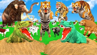 3 SaberToothed Tigers VS Tyrannosaurus rex Attack Cow Buffalo Saved By Wolly Mammoth Smilodon TRex [upl. by Lenka]