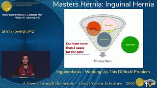 Inguinodynia  Working Up This Difficult Problem [upl. by Cloots694]