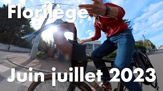 Florilège vélotaf juin juillet 2023 [upl. by Hegarty970]