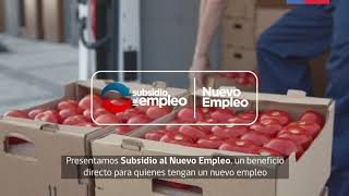 Subsidio al Nuevo Empleo [upl. by Siclari]