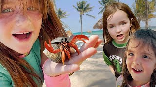 WE FOUND HERMiT CRABS Beach Animals Sand Castles and Playing in the Pool with Adley Niko amp Navey [upl. by Josler]