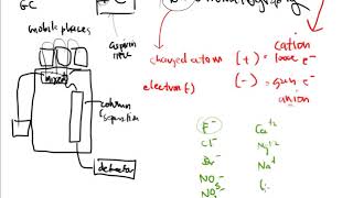 CTC 110 Technology Cation amp Anion Analysis Using Ion Chromatography [upl. by Coppola922]