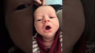 Baby sneezing cutebaby cutetoddler babytiktok sneeze entertainment baby toddler [upl. by Onafets966]