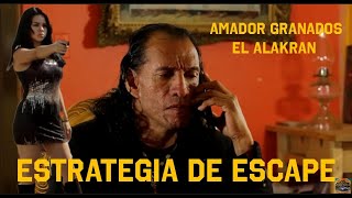 Estrategia de Escape🎬 Película Completa en Español [upl. by Rekcut]