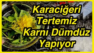 Karaciğeri Tertemiz Karnı Dümdüz Yapan Şişkinlik Giderici Kür [upl. by Weiss]