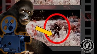 Controversial Bigfoot Footage [upl. by Jovia]