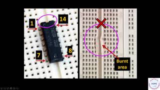 Basic Connections of a Breadboard [upl. by Akierdna122]