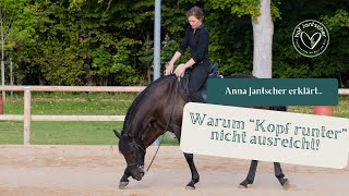 VorwärtsAbwärts Ja oder nein Warum Kopf runter beim Pferd nicht ausreicht Anna Jantscher erklärt [upl. by Panta]