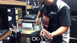 Avantone CR14 CK7 and CK1 Demo [upl. by Alithia]