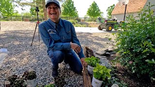 Planting 3 Full Sun amp 3 Shade Containers in My Parent’sGarden 🥰🪴🌸  Garden Answer [upl. by Nolahs]