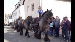 Historisches Erntedankfest in Blankenheim Dollendorf 01102017 [upl. by Anilatak103]