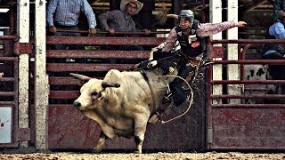 One Hell of a Ride  Bull Riding Music Video [upl. by Imim]