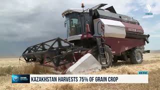 Kazakhstan harvests 75 of grain [upl. by Gelya]