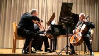 Mendelssohn Trio in D minor 3rd Movement [upl. by Benedic]