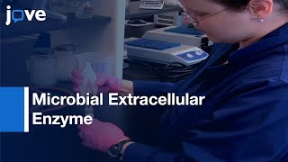 Microbial Extracellular Enzyme Activity Analysis by Microplate Assays  Protocol Preview [upl. by Tevlev]