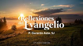 Reflexiones del Evangelio  Mc 101730  13 de octubre de 2024 [upl. by Neemsay]