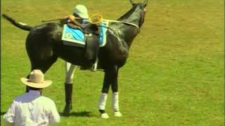 Australian Polocrosse National Championships  Sydney 2006  Intermediate Mens Final  NSW vs QLD [upl. by Mirak537]