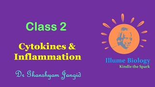 Inflammation  Cytokines  Interferons  Interleukins  Immunity  Cardinal signs of Inflammation [upl. by Coniah]