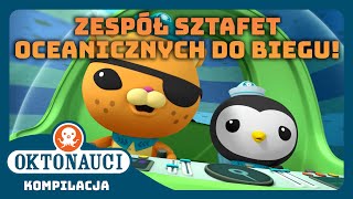 Oktonauci  🌊 Zespół sztafet oceanicznych DO BIEGU 🏁  Kompilacja  Całe odcinki [upl. by Namzed]