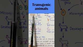 Transgenic animals shortvideo [upl. by Esineg]