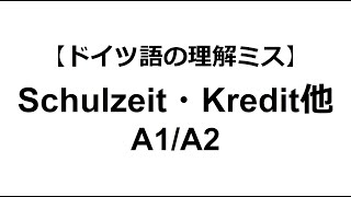 Ich brauche einen Kreditどういう意味？A1A2【ドイツ語】 [upl. by Chuu]