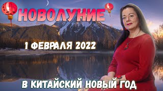 НОВОЛУНИЕ 1 ФЕВРАЛЯ 2022 В КИТАЙСКИЙ НОВЫЙ ГОД [upl. by Remos]