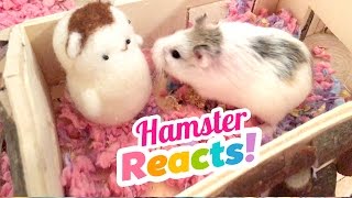 Cute Hamsters REACT to Needlefelt Versions of Themselves [upl. by Atsylac218]