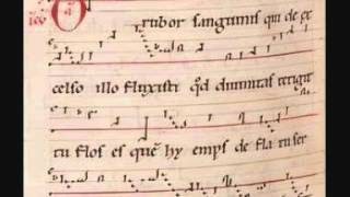 Hildegard von Bingen O rubor sanguinis with score [upl. by Aeniah151]