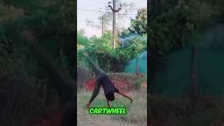 Cartwheel Karneka sehi tarika 2024 How To Learn CartwheelCartwheel Tutorial trending shorts [upl. by Gaskill]