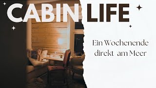 CABIN LIFE I Auswanderung Norwegen I Folge 10 [upl. by Wilburn]