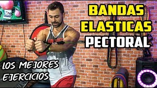 🔴 Los Mejores Ejercicios PECTORAL  BANDAS ELÁSTICAS [upl. by Mcmurry]